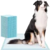 Hot Selling Puppy Pet Training Pads Dog and Cat Pet Diaper Sheet Pee Pads Discount Supplier Dog Training Pads 1