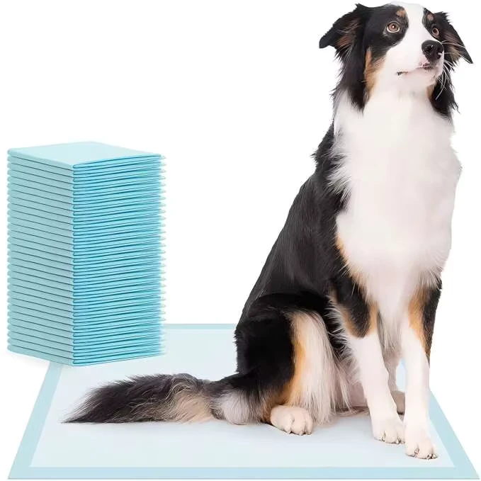 Hot-Selling-Puppy-Pet-Training-Pads-Dog-and-Cat-Pet-Diaper-Sheet-Pee-Pads-Discount-Supplier-Dog-Training-Pads-1 Hot Selling Puppy Pet Training Pads Dog and Cat Pet Diaper Sheet Pee Pads Discount Supplier Dog Training Pads 1