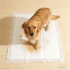 Hygiene Sleeping Pads for Pets Puppy Toilet Mat Diaper for Dogs Super Absorbent Disposable Breathable Leak Proof 5