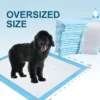 Large Dog Puppy Pee Pads 5 Layer Waterproof Design Quick Dry Surface Potty Training Regular Scented Tissue Pet Diapers