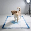 Large Size Ultra Absorbent Non Woven Fabric PE SAP Puppy Pee Pads for Puppy Pee Training 2 Large Size Ultra Absorbent Non Woven Fabric PE SAP Puppy Pee Pads for Puppy Pee Training