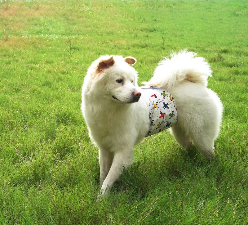 Leak-Proof-for-Potty-Training-Male-Dog-Diapers-Reusable-Washable-Waterproof-Absorbent-Pet-Belly-Bands-with-High-Absorbency-Liner-1 Leak Proof for Potty Training Male Dog Diapers Reusable Washable Waterproof Absorbent Pet Belly Bands with High Absorbency Liner 1