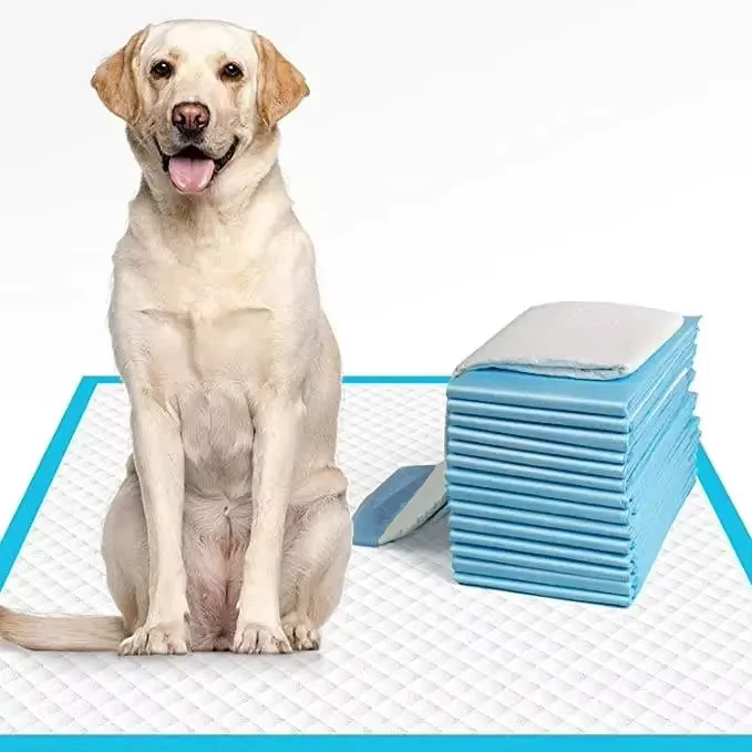 Manufacturers-Fast-Shipping-Cotton-Eco-Friendly-Disposable-Pet-Diaper-Dog-Cat-Grooming-Product-Training-Supplies-1 Manufacturers Fast Shipping Cotton Eco Friendly Disposable Pet Diaper Dog Cat Grooming Product Training Supplies 1