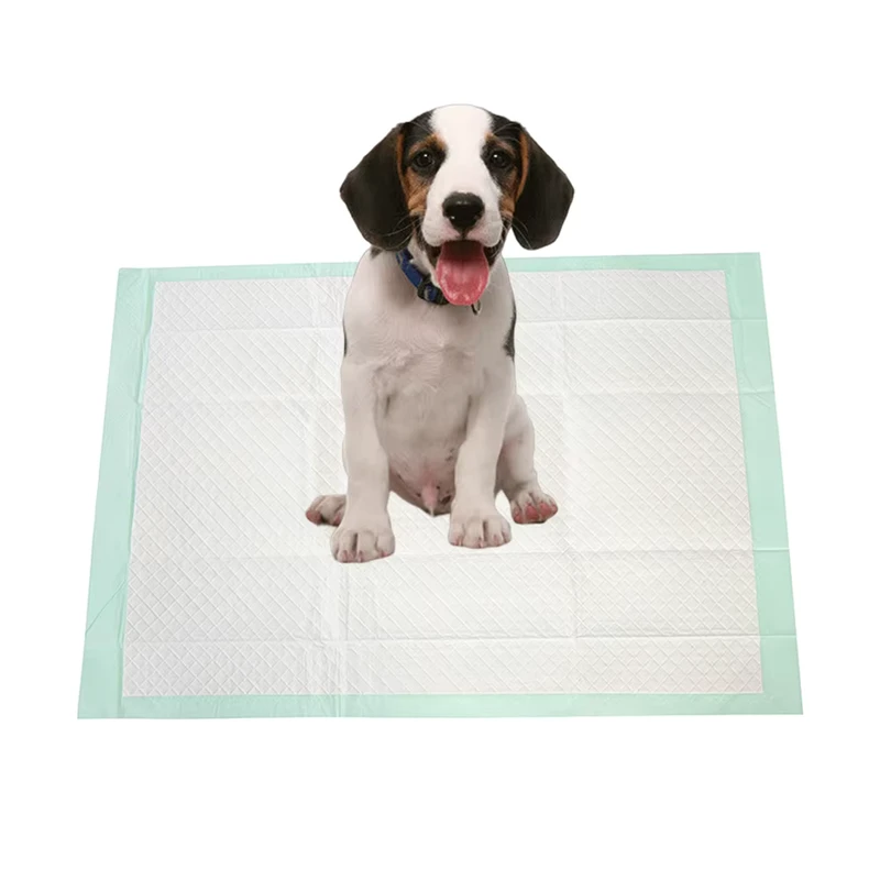 Medical-Supplies-Super-Absorbent-Underpads-Disposable-Full-Size-Dog-and-Puppy-Pee-Pads-with-Leak-proof-Medic-Trauma-Bag Medical Supplies Super Absorbent Underpads Disposable Full Size Dog and Puppy Pee Pads with Leak proof Medic Trauma Bag
