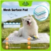 Mesh Surface Pet Pee Pad 50x60cm Puppy Training Disposable Toilet Mat Dog Pee Pad 2 Mesh Surface Pet Pee Pad 50x60cm Puppy Training Disposable Toilet Mat Dog Pee Pad