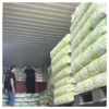 OEM Brand Factory Price a Grade Baby Diapers Disposable Training Pants for Newborn Baby 2 OEM Brand Factory Price a Grade Baby Diapers Disposable Training Pants for Newborn Baby