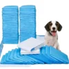 OEM Dog Pet Training Pad Diaper Super Absorbent Pet Supplies Charcoal Puppy Training Pee Pads for Dog 1 OEM Dog Pet Training Pad Diaper Super Absorbent Pet Supplies Charcoal Puppy Training Pee Pads for Dog
