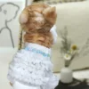 OEM Environmental Super Absorbent Disposable Pet Diapers Leak Guard Soft Non woven Top Sheet for Dogs Cats Babies Custom