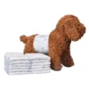 OEM Super Absorbent Pet Diaper Male Dog Training Diaper Pad Premium Disposable Cat and Dog Diapers 1 OEM Super Absorbent Pet Diaper Male Dog Training Diaper Pad Premium Disposable Cat and Dog Diapers 1