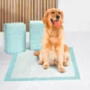 Oem Waterproof Puppy Diaper Training Disposable Pet Urine Pee Absorption and Potty Wee Pads for Dog Padding Xl 1 Oem Waterproof Puppy Diaper Training Disposable Pet Urine Pee Absorption and Potty Wee Pads for Dog Padding Xl 1