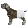 Pawise High Quality 12Pack Pet Dog Cat Disposable Diapers Multi Size Leakproof Disposable Diapers for Small Animals 1 Pawise High Quality 12Pack Pet Dog Cat Disposable Diapers Multi Size Leakproof Disposable Diapers for Small Animals