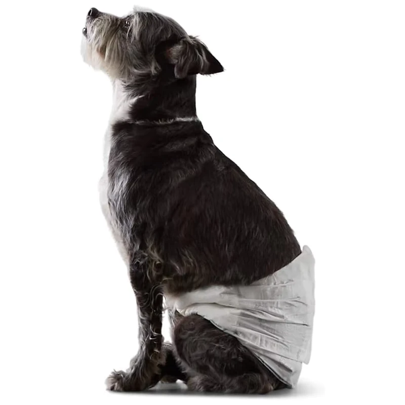 Pawise-New-Design-Competitive-Price-Disposable-Pet-Waterproof-Diapers-Leak-Proof-Dog-Diapers-Training-Pads-for-Male-Female-Dogs Pawise New Design Competitive Price Disposable Pet Waterproof Diapers Leak Proof Dog Diapers Training Pads for Male Female Dogs
