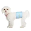 Personalized Pet Diapers Super Absorbent Leak proof Disposable Dog Nappies For Training OEM ODM Manufacturer 2 Personalized Pet Diapers Super Absorbent Leak proof Disposable Dog Nappies For Training OEM ODM Manufacturer