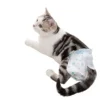 Pet Diapers for Cats Dogs Anti pregnancy Menstrual Hygiene Nonwoven Fabric 10 Piece Pack 1