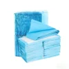 Premium Cotton Eco Friendly Super Absorbent Pet Training Pad for Dogs Thickened Leak Proof Quick Dry Odor Lock Design Safe 45 60 1