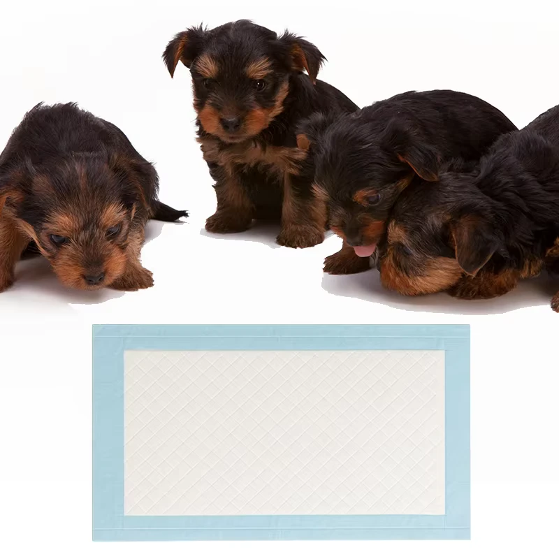 Premium-Customized-Disposable-Sanitary-Training-Pet-Diapers-Pet-Training-Supplies Premium Customized Disposable Sanitary Training Pet Diapers Pet Training Supplies