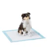 Premium Quality Disposable Super Absorbent Puppy Dog Pee Pads Puppy Odor Urine Training Dog Pee Pad Pet Supplies Pads 1