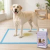 Puppy Pad OEM Disposable Adult Hospital Underpad Organic Non Woven Absorbent Fiber PE Dog Potty Training Aid Eco Friendly
