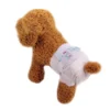 S M L White Color High Absorption Disposable Pet Diapers with Leak proof Bottom for Dog 1 S M L White Color High Absorption Disposable Pet Diapers with Leak proof Bottom for Dog
