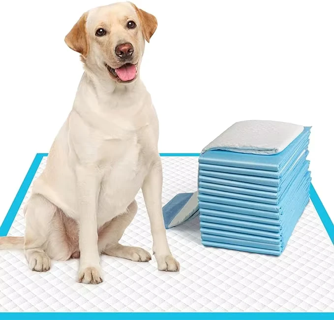 Six-in-one-Pet-Diaper-Pad-Waterproof-Dog-Diaper-Disposable-High-Water-Absorption-Pet-Diaper-1 Six in one Pet Diaper Pad Waterproof Dog Diaper Disposable High Water Absorption Pet Diaper 1