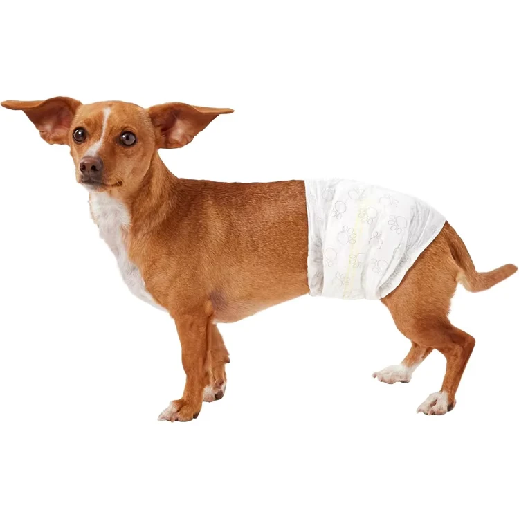 Soft-Breathable-Leakproof-Disposable-Printed-Multi-Size-Pet-Wrap-Diaper-for-Male-Dog-1 Soft Breathable Leakproof Disposable Printed Multi Size Pet Wrap Diaper for Male Dog 1