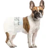 Soft Feeling Breathable Leak Protection Disposable Dog Diaper
