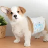 Special Limited Time Offer Elastic Waist Disposable Pee Pads Super Absorbent Pet Pads with Printed Feature for Pets 2 Special Limited Time Offer Elastic Waist Disposable Pee Pads Super Absorbent Pet Pads with Printed Feature for Pets