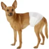 Super Absorbent Breathable Disposable Male Dog Diapers Leak Proof Comfort Fit Wraps Small Medium Large Sizes for Pets Training 1 Super Absorbent Breathable Disposable Male Dog Diapers Leak Proof Comfort Fit Wraps Small Medium Large Sizes for Pets Training