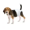Super Absorbent Eco Friendly Fashion Waterproof IP68 100% Cotton Dog Cat Pet Diapers Disposable Puppy Urine Clean Potty Training 1 Super Absorbent Eco Friendly Fashion Waterproof IP68 100 Cotton Dog Cat Pet Diapers Disposable Puppy Urine Clean Potty Training