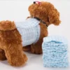 Super Absorption Breathable Leak Proof Disposable Male Pet Diapers Biodegradable Pet Pads Printed Feature Free Samples Available 2 Super Absorption Breathable Leak Proof Disposable Male Pet Diapers Biodegradable Pet Pads Printed Feature Free Samples Available