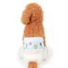 Super Soft Diaper and Good Quality Disposable Baby Nappy Diapers Looking for Agents in Middle East and Africa 2 Super Soft Diaper and Good Quality Disposable Baby Nappy Diapers Looking for Agents in Middle East and Africa