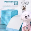 Thickened Deodorizing Absorbent Dog & Cat Urine Pads Sanitary Pads & Diapers 1 Thickened Deodorizing Absorbent Dog Cat Urine Pads Sanitary Pads Diapers