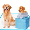 Ultra Absorbent 5 Layer Leak Proof Dog Training Pad Disposable Urine Bed Pads for Pets Pet Diaper 2 Ultra Absorbent 5 Layer Leak Proof Dog Training Pad Disposable Urine Bed Pads for Pets Pet Diaper 4