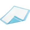 Underpad Custom Hospital 18x24 6 by 6 Dissable Adult Diaper Insert Underpad Disposable Blue 30 X 36 80g