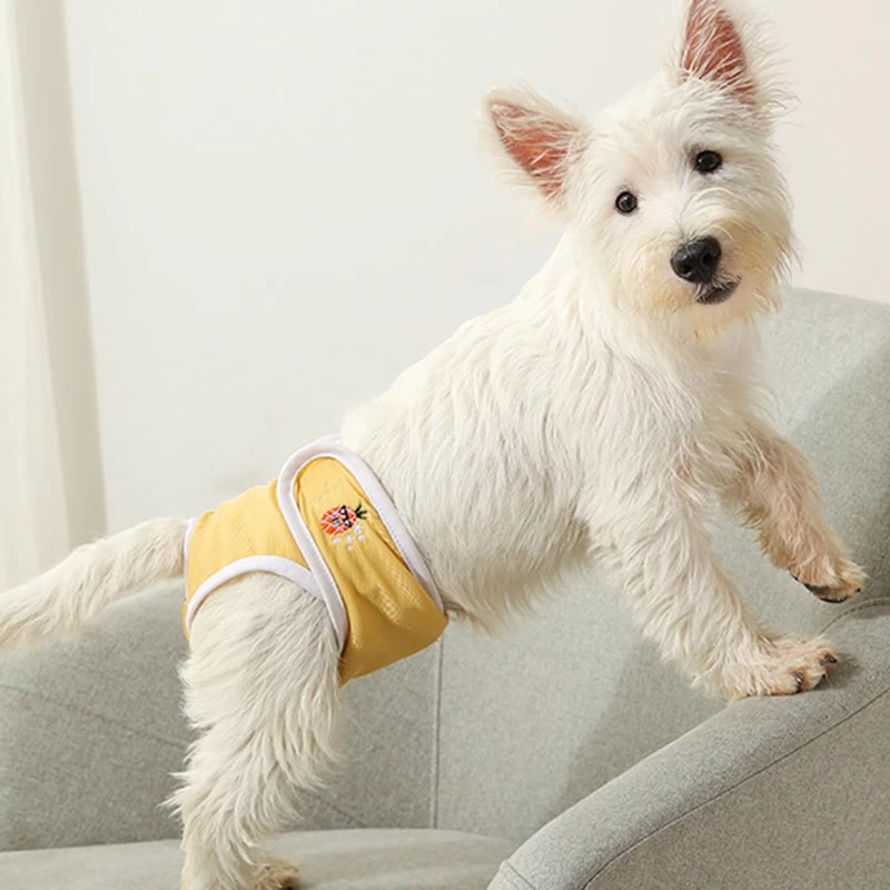 Washable-Female-Dog-Diapers-Reusable-Doggie-Diaper-Wraps-Sanitary-Female-Dog-Pants-Diapers-Puppy-Physiological-Safety-Pants-1 Washable Female Dog Diapers Reusable Doggie Diaper Wraps Sanitary Female Dog Pants Diapers Puppy Physiological Safety Pants 1