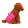 Washable Male & Female Dog Diapers Reusable Female Dog Diapers 2 Washable Male Female Dog Diapers Reusable Female Dog Diapers